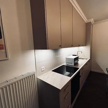 Cozy And Quiet In The Centre Apartment *